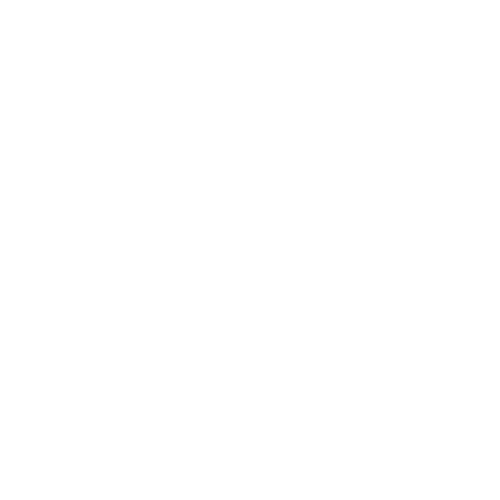 Reporting icon